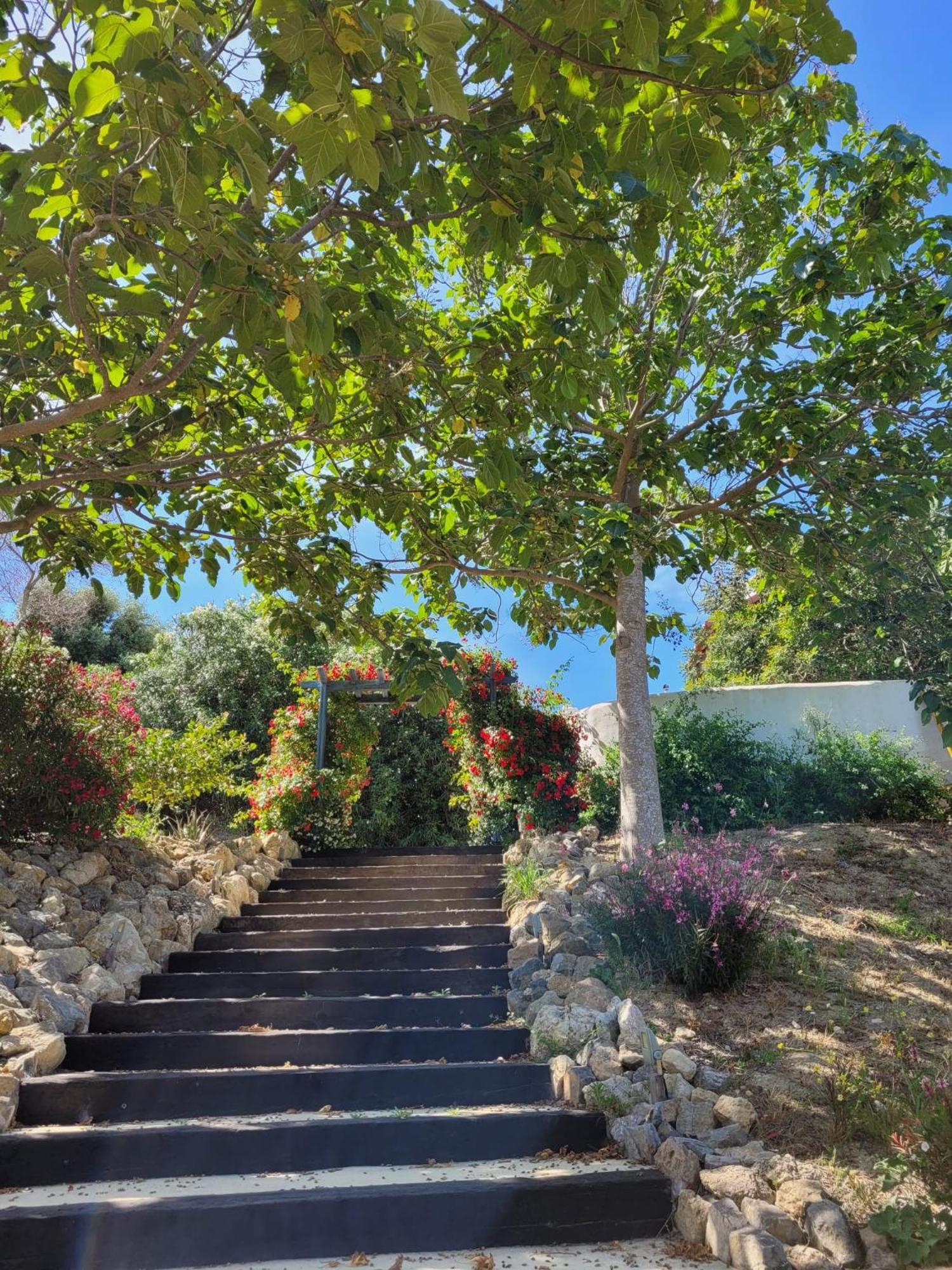Hotel Sindhura Vejer de la Frontera Ngoại thất bức ảnh